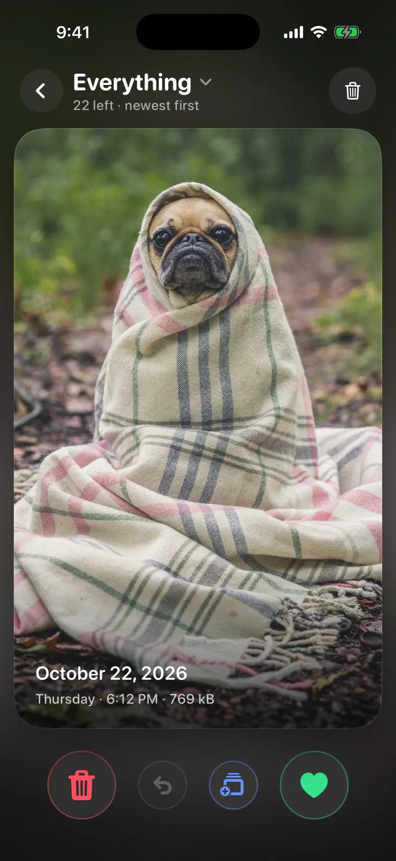 Sift’s photo deck: a photo of a pug in a blanket, with delete and keep buttons