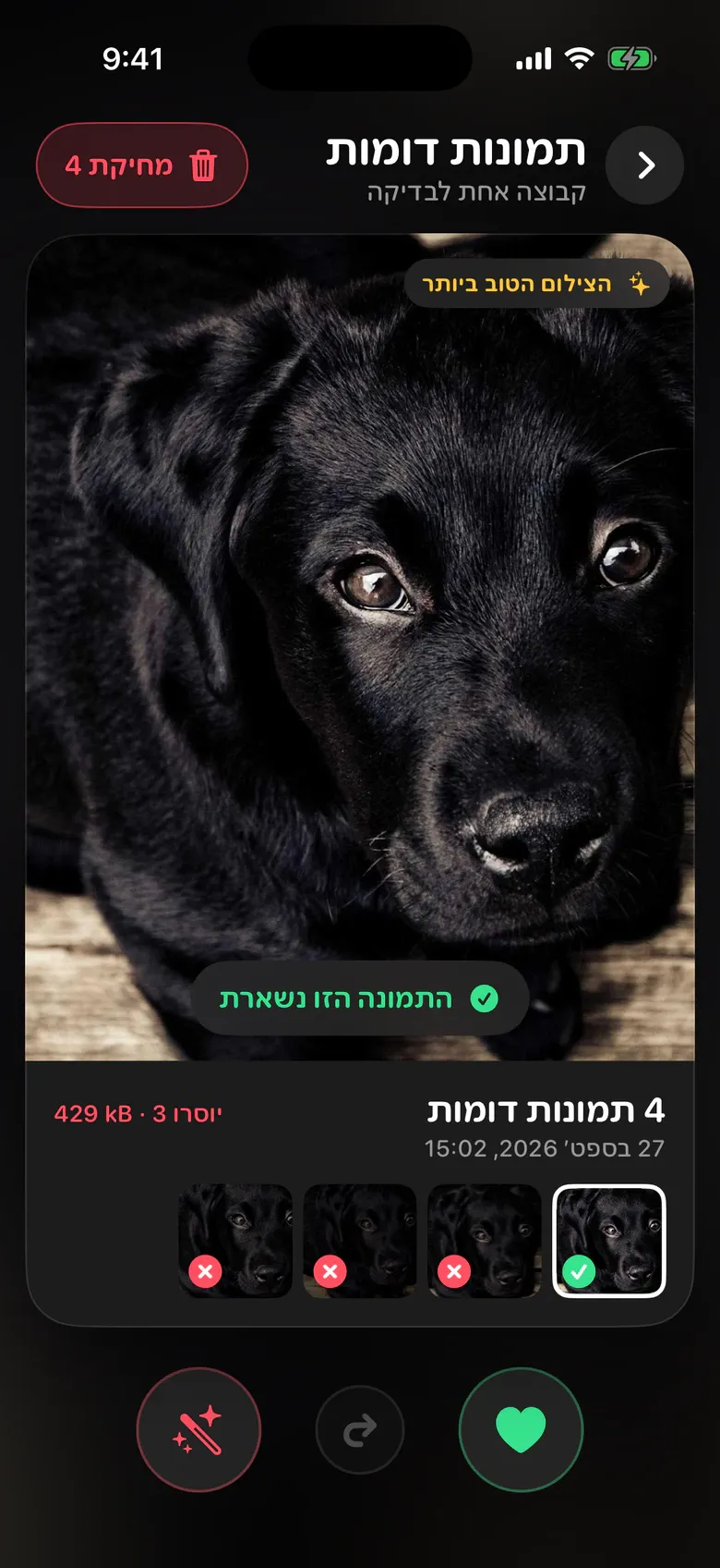 תמונות דומות ב־Sift: ארבעה צילומים של גור כלבים, והחד ביותר מסומן כזה שנשאר