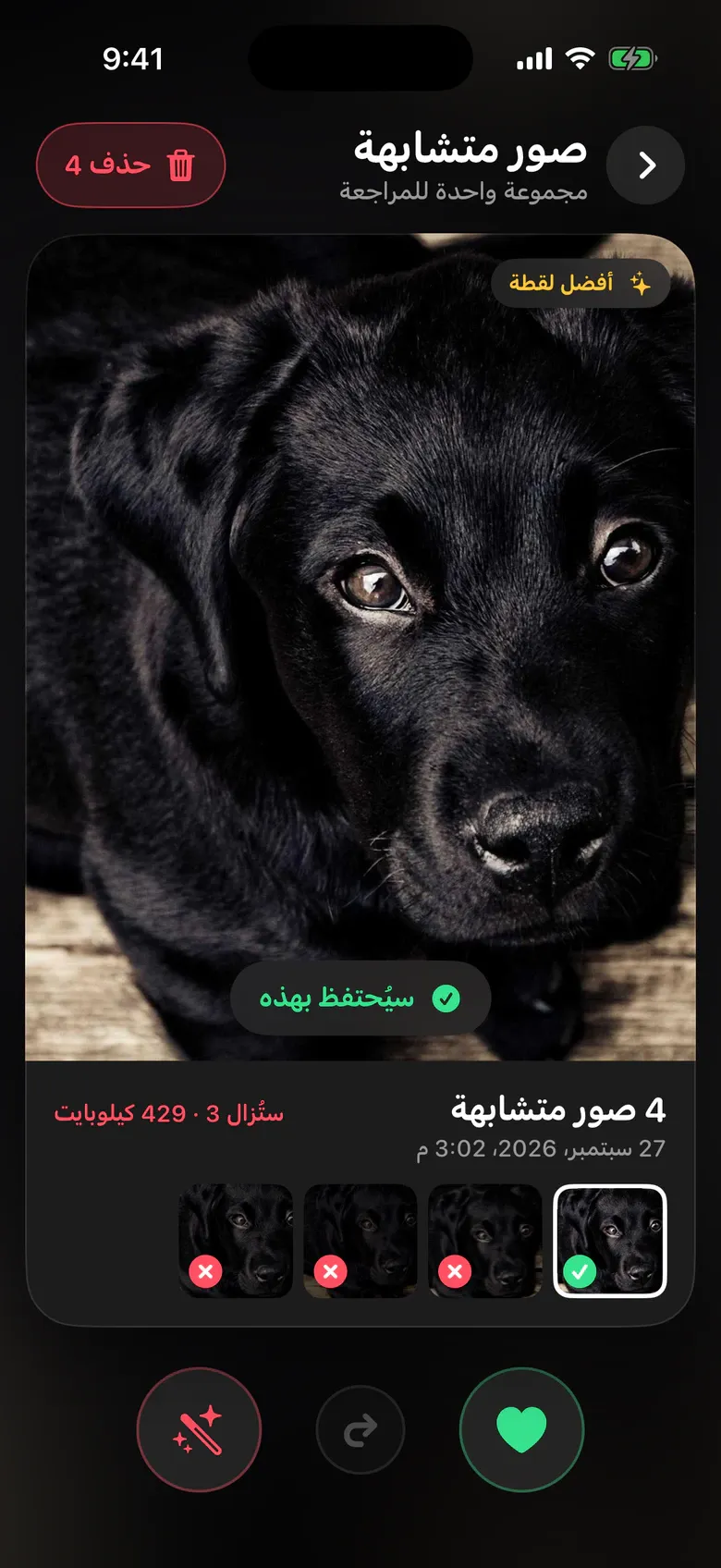 الصور المتشابهة في Sift: أربع لقطات لجرو، وأوضحها محددة لتبقى